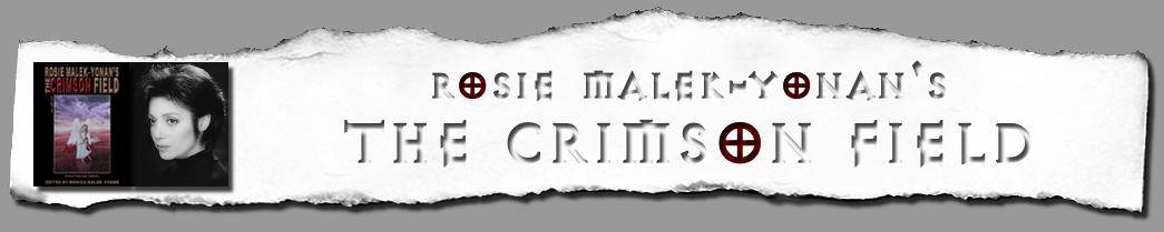 BannerTop