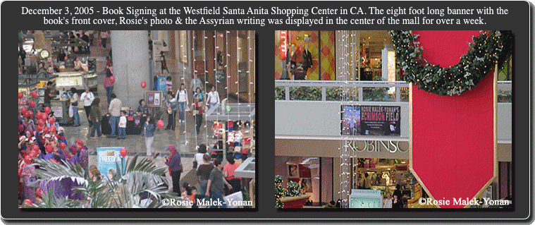 Text-SantaAnitaMall1